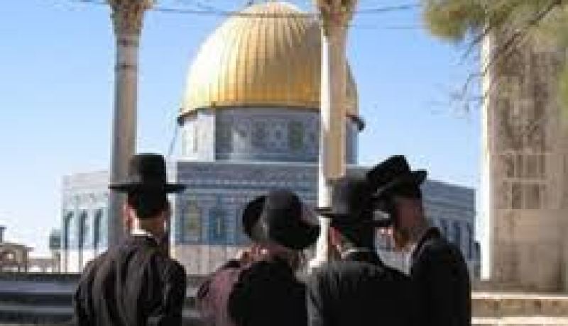 جماعات يهودية تقتحم ساحات المسجد الأقصى
