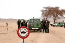 الدرك الوطني تقوم بتوقيف عدة أشخاص و تحجز مواد للتهريب عبر الولايات الحدودية