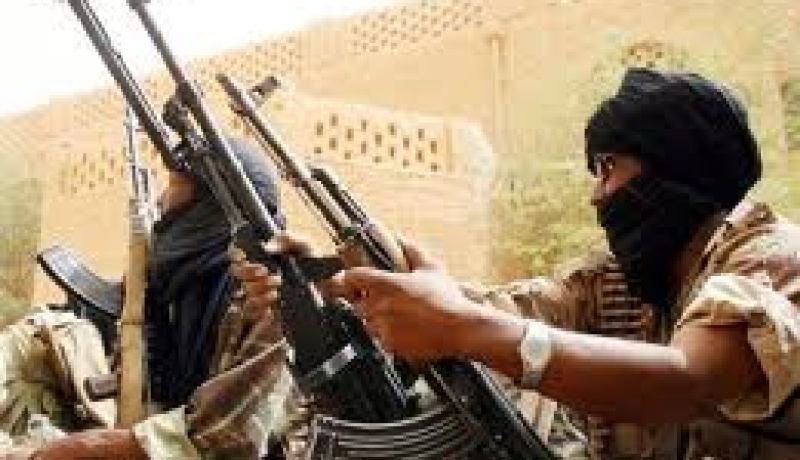 الجيش المالي يدعو المتمردين الى الاستسلام
