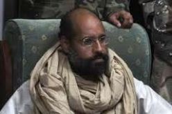 محامي الدفاع    سيف الإسلام تعرض للاعتداء والتضليل