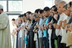 تخصص الإمامة باق رغم أنوفكم
