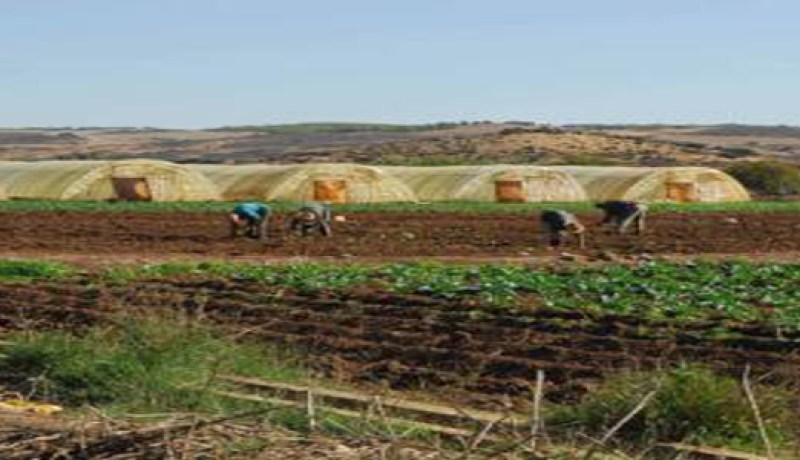 الأراضي الفلاحية: تمديد آجال ايداع ملفات الامتياز الى غاية نهاية جوان