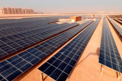 توقيع مذكرة تفاهم بين “سونلغاز” ومبادرة “ديزرتيك” أفريل المقبل