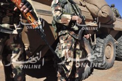 توقيف عنصري دعم للجماعات الإرهابية بكل من البليدة وقسنطينة