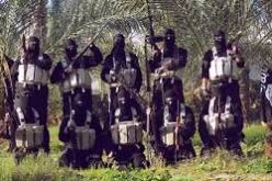 جزائريو داعـــــش أكثــــر قطعـــــا للـــــرؤوس فـــــي العـــــراق