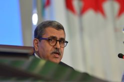 الوزير الأول: سنعيد للأرض بساطها الأخضر الذي أتلفته حرائق أضرمتها أيادي إجرامية