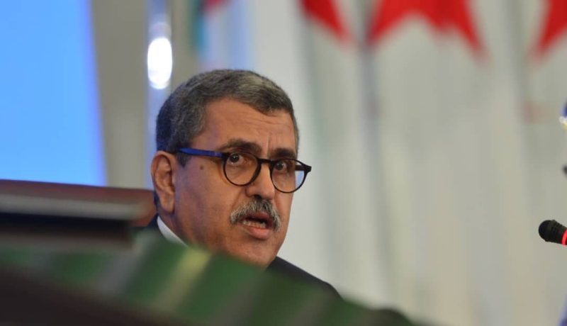 الوزير الأول: سنعيد للأرض بساطها الأخضر الذي أتلفته حرائق أضرمتها أيادي إجرامية