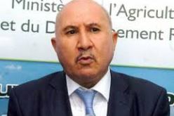 الجزائر تدعو إلى عمل دولي ضد المضاربة و تذبذب اسعار المواد الفلاحية