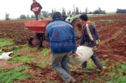 توزيع 10 مقررات إمتياز الفلاحي على مستثمرين خواص بالحجيرة في ورقلة