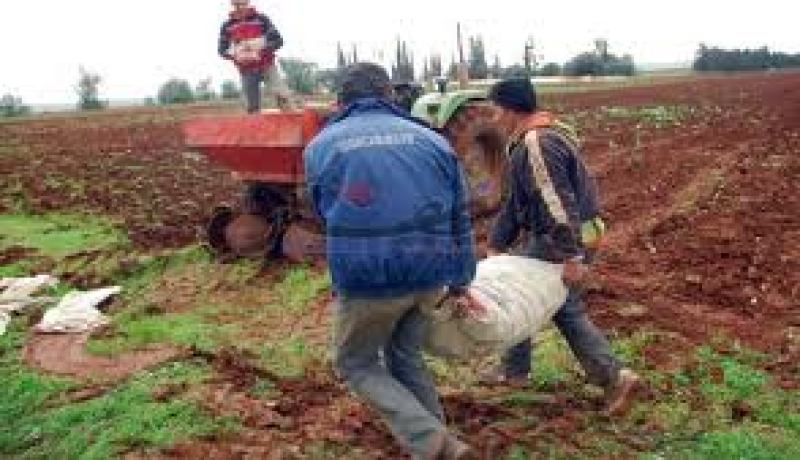 توزيع 10 مقررات إمتياز الفلاحي على مستثمرين خواص بالحجيرة في ورقلة