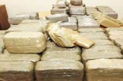 حجز أكثر من 16 قنطارا من الكيف المعالج بالمريجة