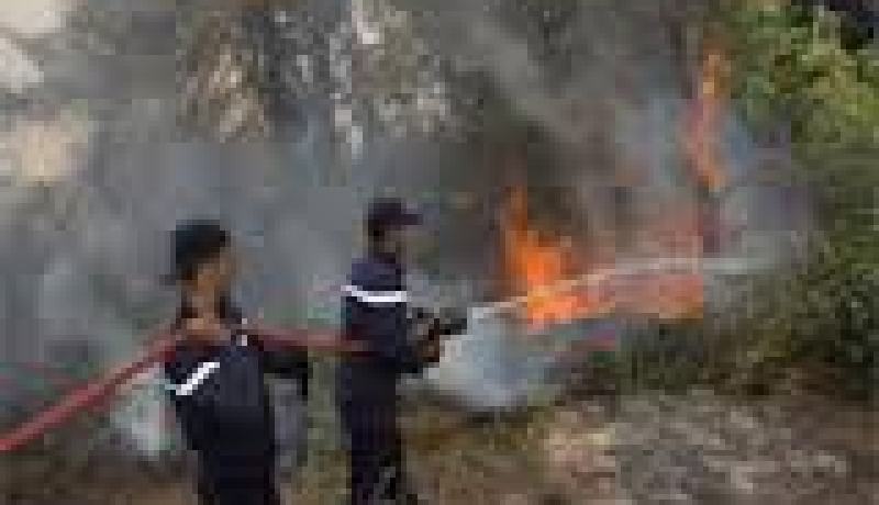 حريق مهول ببلدية وادي الماء (باتنة) يأتي على 25 هكتارا من الأشجار الغابية