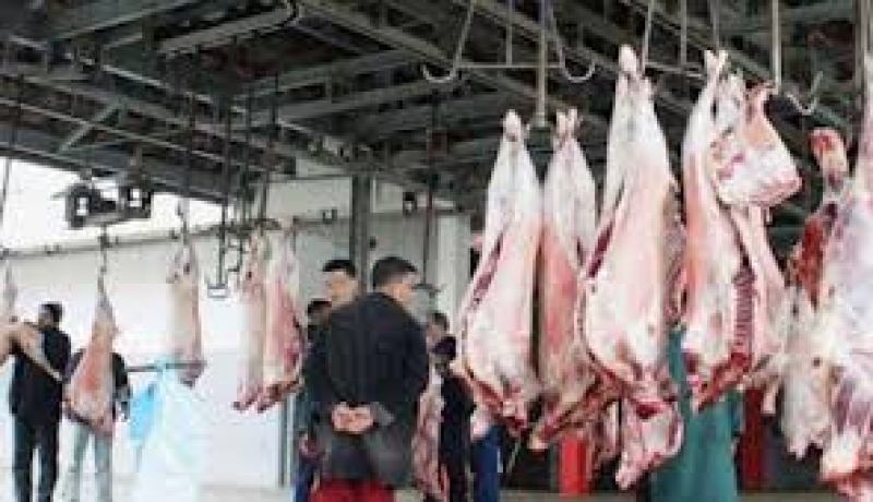 تحويل تجار مذبح «الرويسو» إلى الحـراش غدا