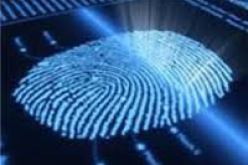 فك خيوط 93 قضية في أكتوبر بفضل النظام الآلي لتحليل البصمات