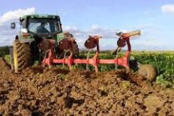 بذر مساحة قدرها 6720 هكتار منذ انطلاق حملة الحرث بعين الدفلى