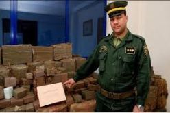 حجز 10 قناطير من الكيف بمغنية بولاية تلمسان