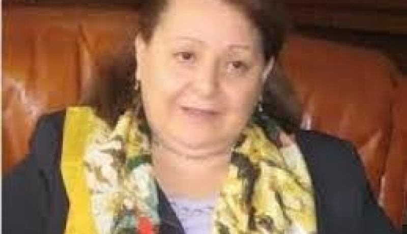 اعطاء دفع جديد للتعاون الجزائري الفرنسي في مجال تكنولوجيات الاعلام و الاتصال