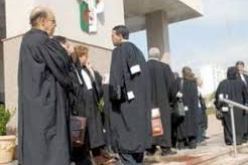 المحامون بغليزان يستأنفون العمل على مستوى مجلس القضاء