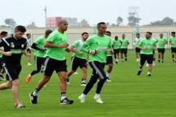 حصة إسترخاء للخضر بسيبوبو دون ياسين براهيمي