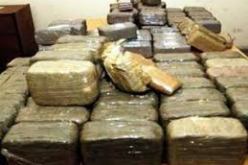 حجز أزيد من 100 قنطار من الكيف بوهران خلال 2013