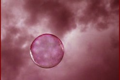 شقيقتي‮.. ‬لم تجد من رجال الدّنيا إلا محتالا تشاركه الحياة‮ ‬