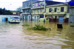 مقتل صبي‮ ‬في‮ ‬الخامسة من العمر جرفته السيول بولاية بجاية