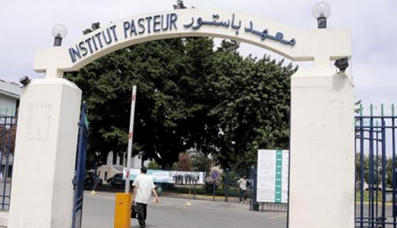 معهد باستور: “توزيع أزيد من ألفي جرعة من المصل المضاد للتسمم العقربي”