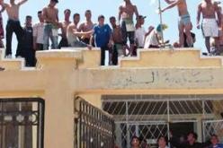إحباط محاولة انتحار جماعي لـ360 عامل بالشركة الجزائرية التركية للحديد بعنابة