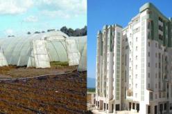 الوكالة الوطنية لترقية الاستثمار تنظم لقاء لترقية الاستثمار في الجنوب و الهضاب العليا