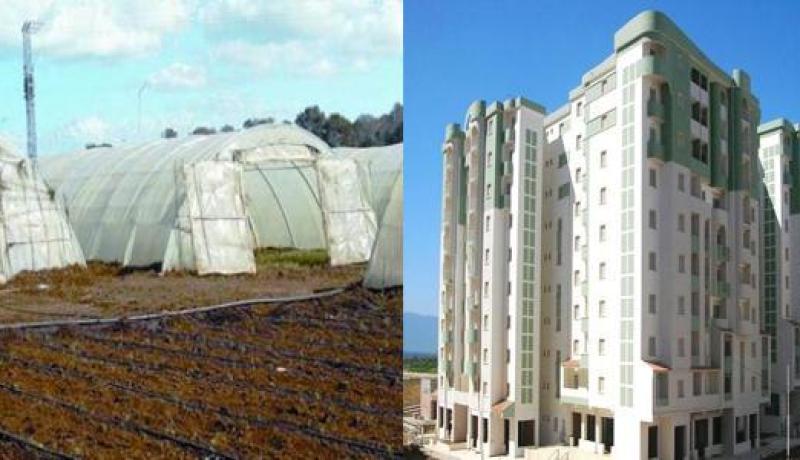 الوكالة الوطنية لترقية الاستثمار تنظم لقاء لترقية الاستثمار في الجنوب و الهضاب العليا