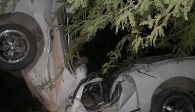 وفاة شخصين وإصابة ثالث بجروح في اصطدام سيارة بشجرة بقالمة