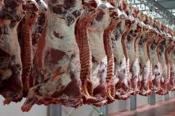 «185 ألف طن من اللحوم واجدة لشهر رمضان»!