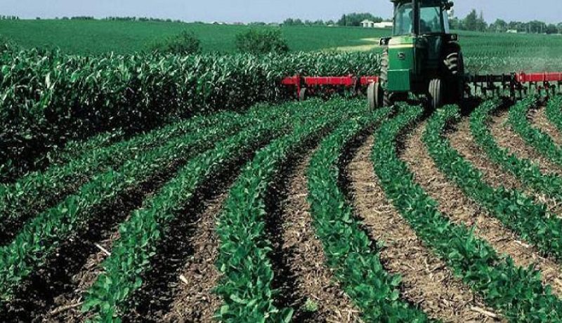 وزارة الفلاحة.. لجنة علمية لتقديم الإستشارة والإستشراف في مجال الأمن الغذائي