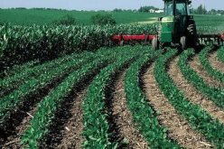 هكذا سيتم الاستثمار في قطاع الفلاحة