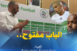 بلماضي يفصل في مصير “فيغولي” و”مبولحي”!