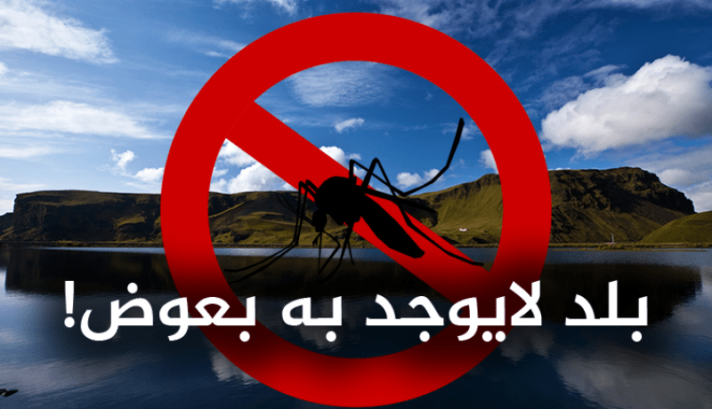 فيديو.. تعرّف على البلد الخالي من البعوض