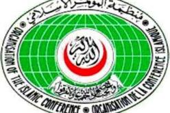 احسان اوغلي يؤيد فرض حظر جوي على ليبيا