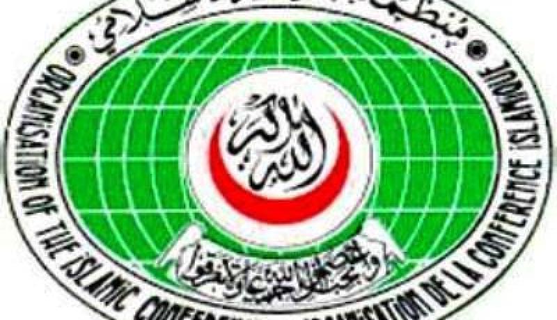 احسان اوغلي يؤيد فرض حظر جوي على ليبيا