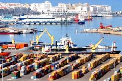 تفعيل رخص الاستيراد الخاصة بالمنتجات الزراعية ابتداءا من 10 جانفي