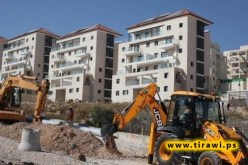 مصر تدين سياسة الاستيطان الإسرائيلية في الأراضي الفلسطينية المحتلة