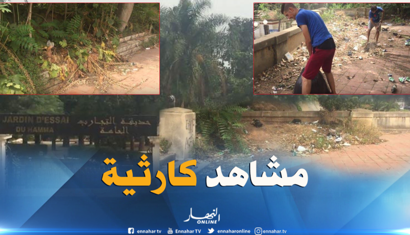 بالفيديو ..”مجموعة رانا ناويين الخير” تنظف مكان يغرق في الفضلات مقابل لحديقة الحامة