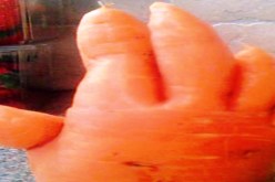 جزرة على شكل خامسة تثير التعليقات في‮ ‬تويتر