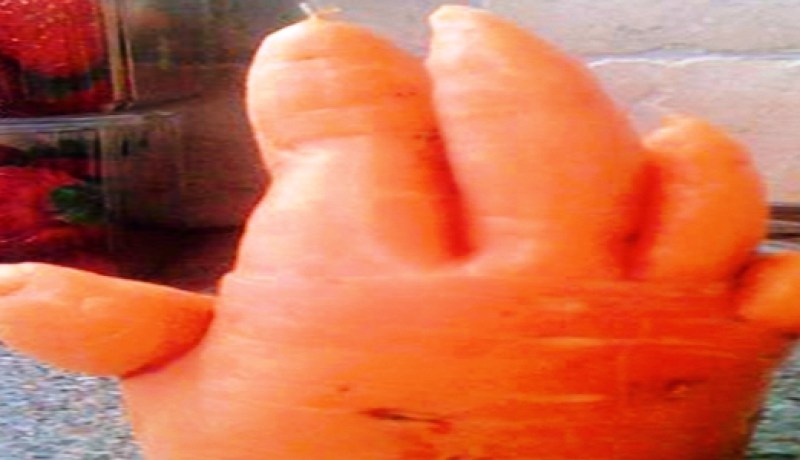 جزرة على شكل خامسة تثير التعليقات في‮ ‬تويتر