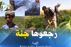 بالفيديو …هكذا حول الاخوة زياني أرض أجدادهم من طوب إلى جنة خضراء