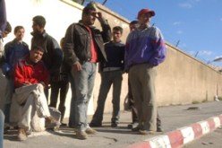طالبوا وزير التضامن الوطني التدخل لإعادة النظر في منحتهم:المستفيدون من الشبكة الاجتماعية وتشغيل الشباب بتيبازة متذمرون