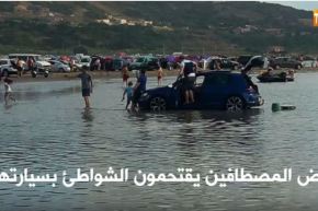 بالفيديو.. ظواهر غريبة في الشواطىء الجزائرية