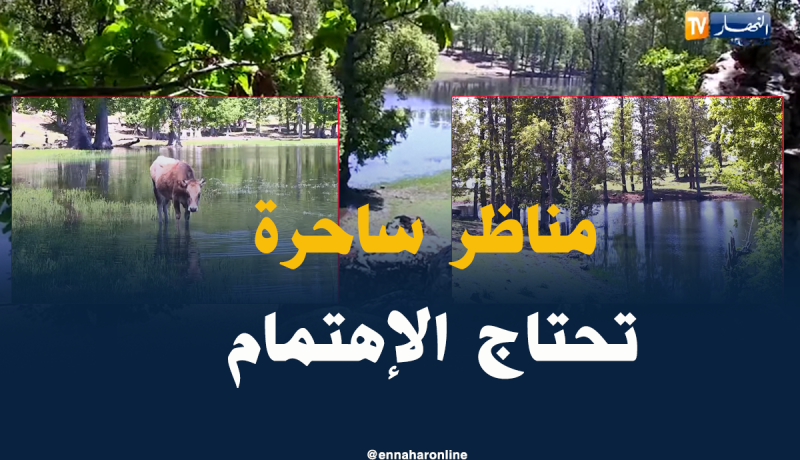 بحيرة أم لحناش بجيجل..مناظر طبيعية ساحرة بحاجة للإهتمام