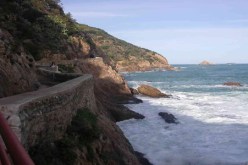 عودة ليالي الكورنيش هذا الصيف بجيجل