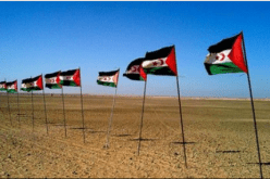 نائب في البرلمان الأوروبي: ليس للمغرب أي سيادة على الصّحراء الغربية