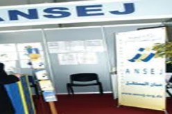 تمويل أكثر من 460 مشروع لدعم تشغيل الشباب خلال 2011 بالأغواط